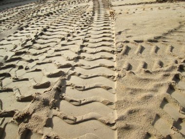 Topraktaki tekerlek izleri.