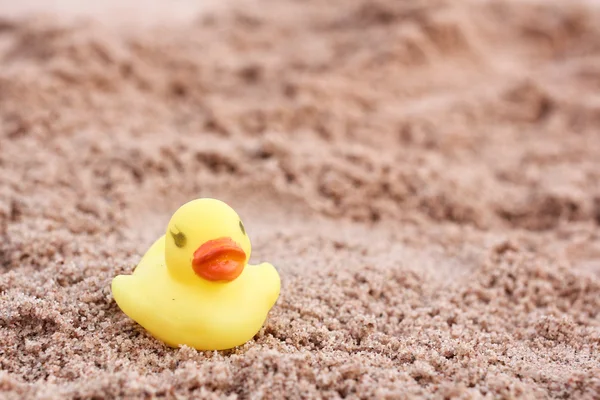 Yellow rubber duck — Stock Photo, Image