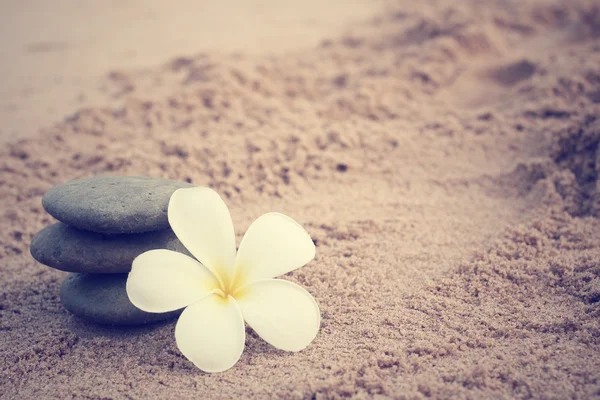 Spa of frangipani flower and stones — Stock Photo, Image