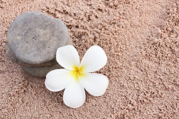 Spa of frangipani flower and stones — Stock Photo, Image