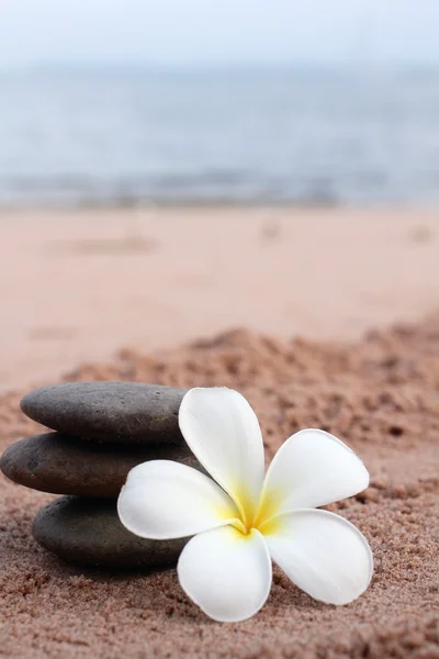 Spa van frangipani bloem en stenen — Stockfoto