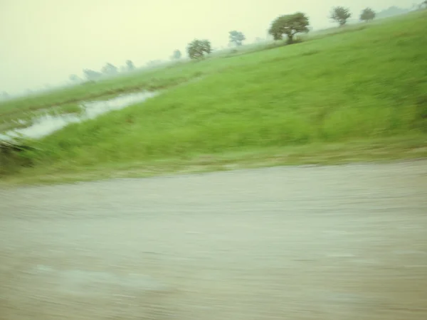 Flou de route avec des arbres — Photo