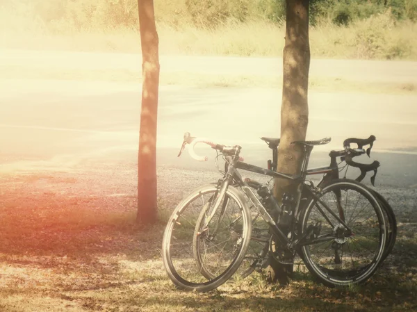 Катание на велосипеде — стоковое фото