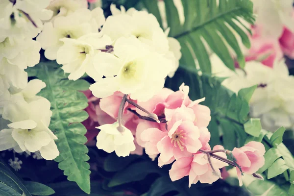 Vintage orkidé blommor — Stockfoto