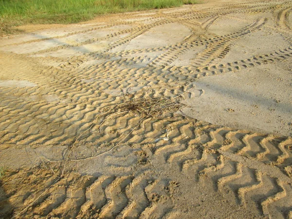 Wielsporen op de grond. — Stockfoto