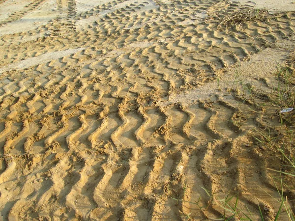 Wielsporen op de grond. — Stockfoto