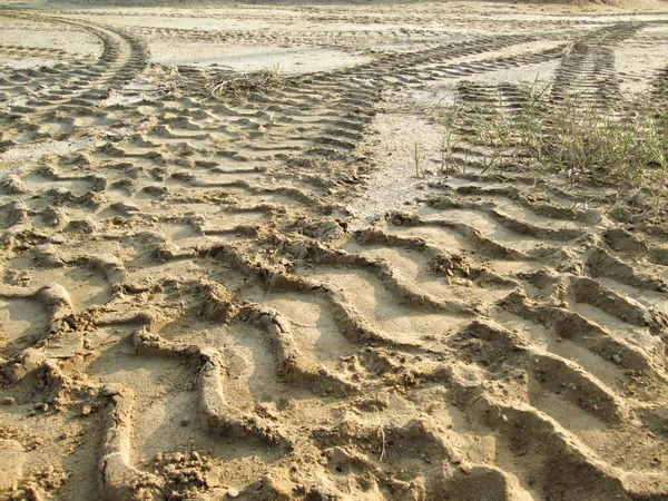 Wielsporen op de grond. — Stockfoto