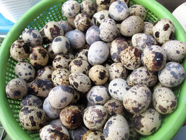 Quail eggs — Stock Photo, Image