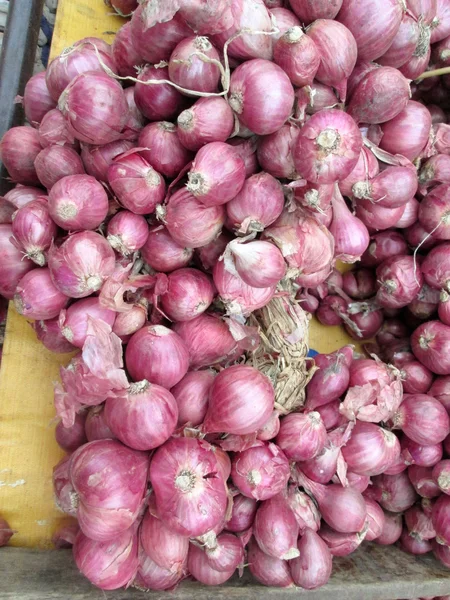 Chalota - cebolla roja de asia —  Fotos de Stock