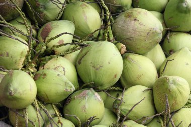 Hindistan cevizi suyu içecek