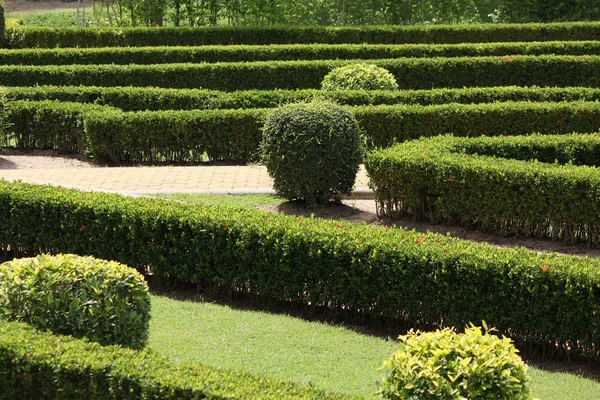 Jardín Inglés —  Fotos de Stock