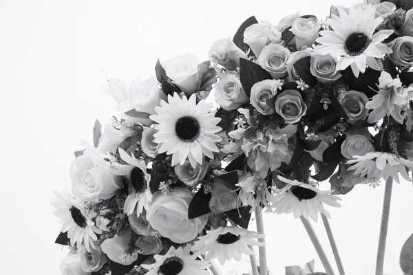 鲜花-黑色和白色 — 图库照片