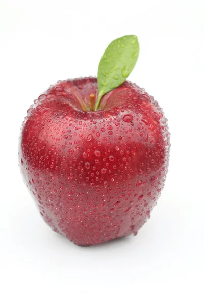 Apple isolated — Stock Photo, Image