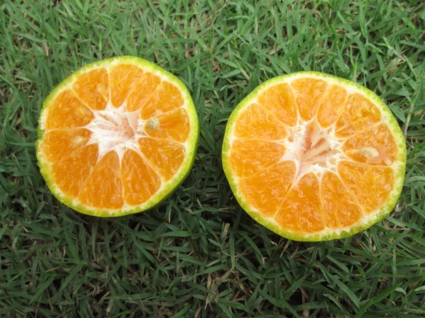 Apelsiner frukter — Stockfoto