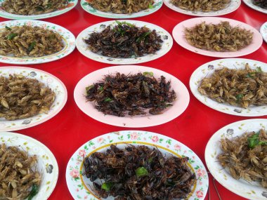 Kızarmış kriket böcek 