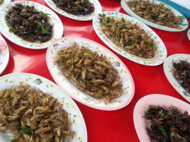 Kızarmış kriket böcek 