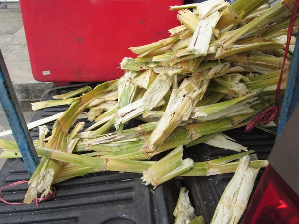 Máquina de jugo de caña de azúcar —  Fotos de Stock