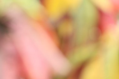 renkli arka plan bulanık