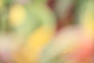 renkli arka plan bulanık