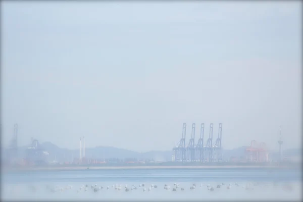 Desfocado do porto — Fotografia de Stock