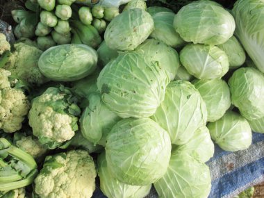 taze sebze karışımı