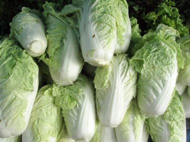 taze sebze karışımı