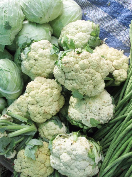 新鲜蔬菜的混合 — 图库照片