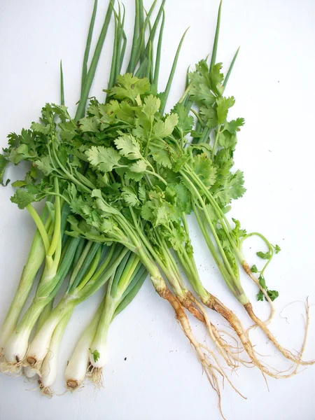 Coriander and spring onions — Stock Photo, Image