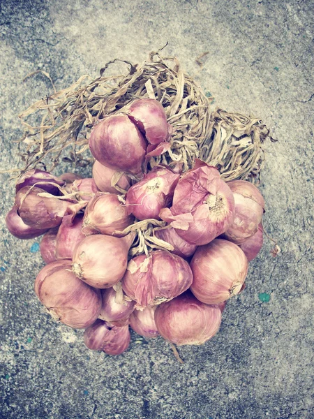 Chalota - cebolla roja de asia —  Fotos de Stock