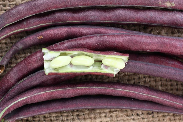 Long beans — Stock Photo, Image
