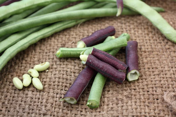 Frijoles largos — Foto de Stock