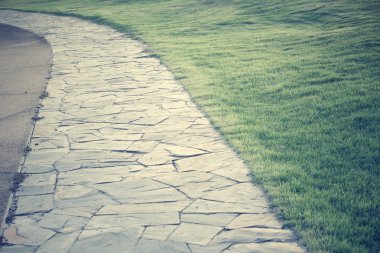 yeşil çim ve Park yolu