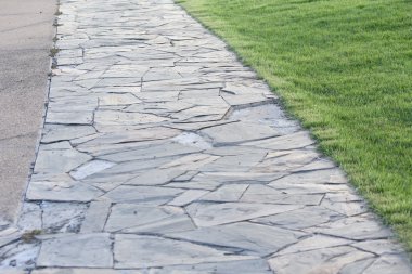 yeşil çim ve Park yolu
