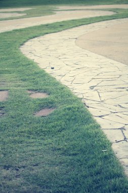 yeşil çim ve Park yolu