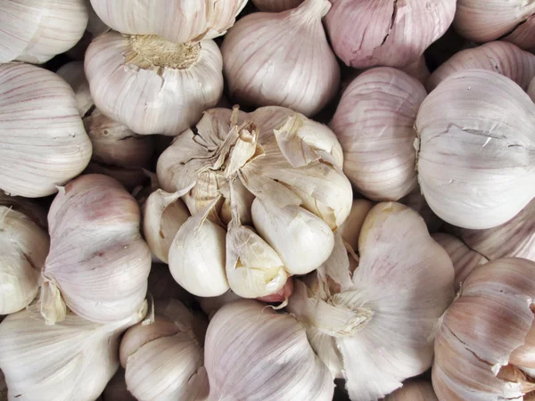 Garlic — Stock Photo, Image