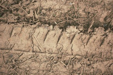 Topraktaki tekerlek izleri.