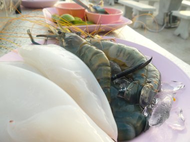 Taze karides ve kalamar