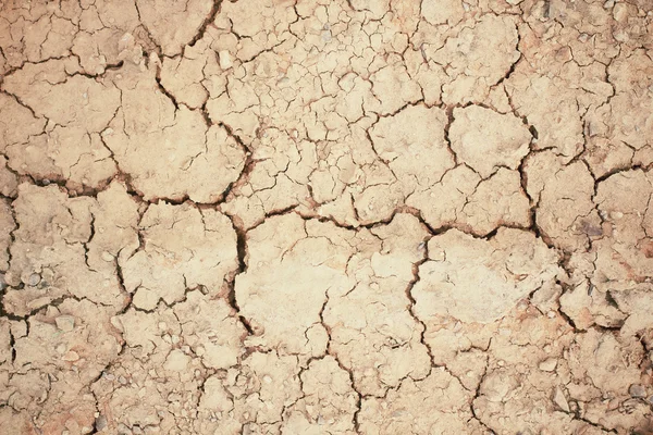 Suelo seco agrietado —  Fotos de Stock