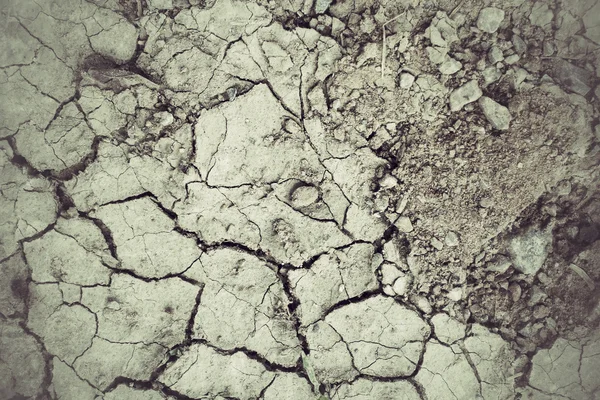 Cracked dry soil — Stock Photo, Image