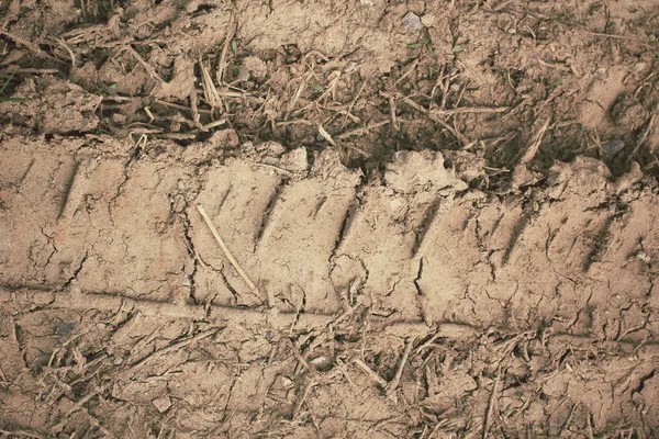 Topraktaki tekerlek izleri. — Stok fotoğraf