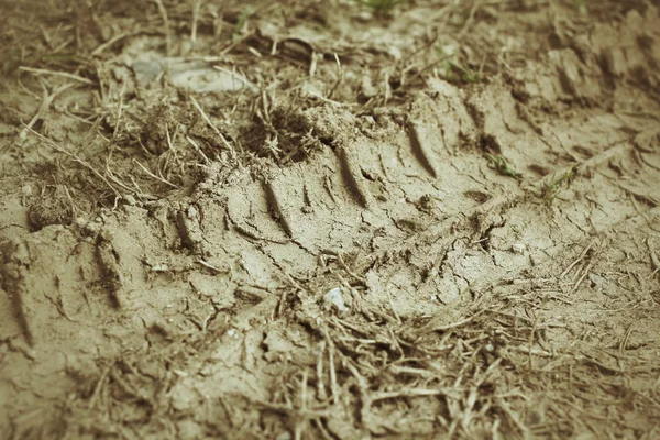 Колісні колії на ґрунті . — стокове фото