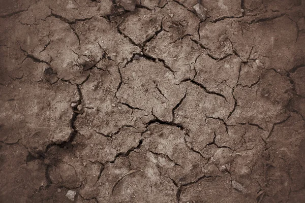 Cracked dry soil — Stock Photo, Image