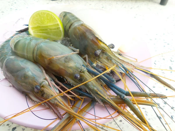 Fresh shrimp — Stock Photo, Image