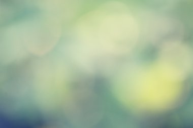 bulanık orman arka plan