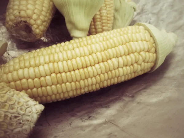 Fresh corn — Stock Photo, Image