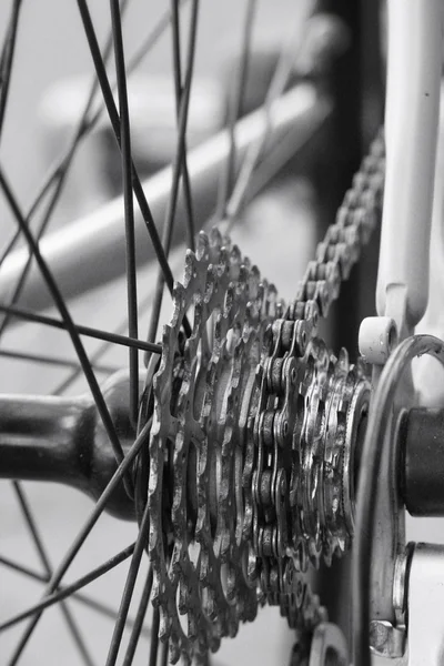 Kerékpár fogaskerekek — Stock Fotó