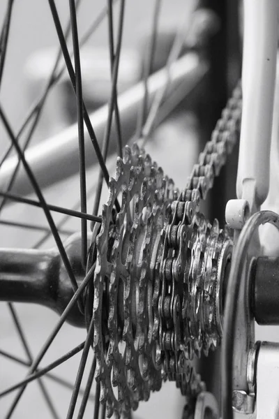 Bicycle gears — Stock Photo, Image