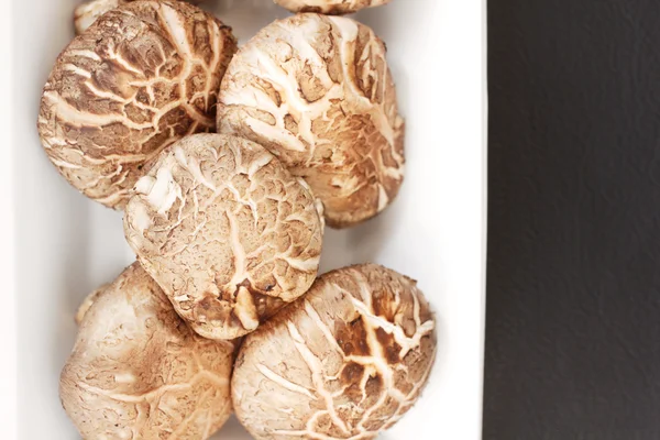 Shiitake champignons — Stockfoto