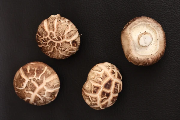 Shiitake champignons — Stockfoto