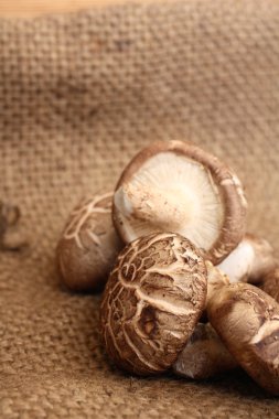 shiitake mantarları 